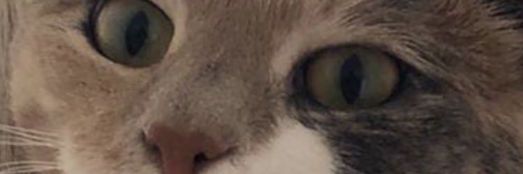 ASandra0808's profile banner image