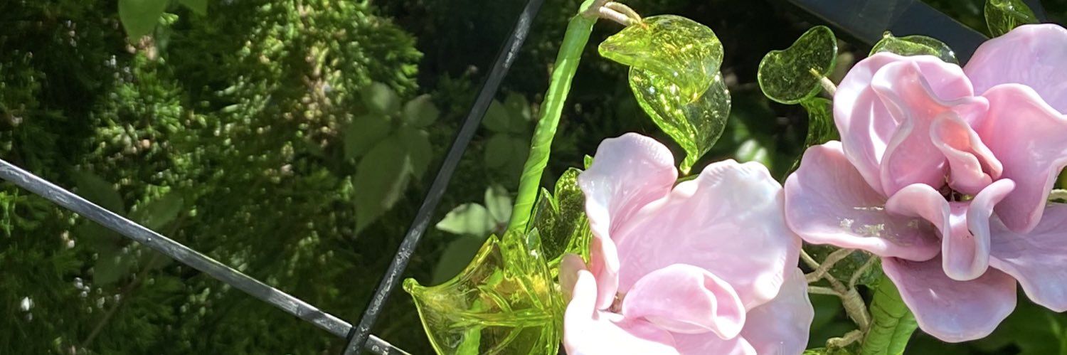 🌼 banner
