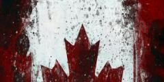 81Andresantos's profile banner image