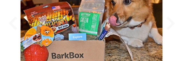 Barkbox2's profile banner image