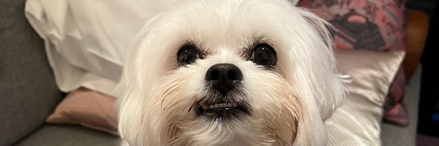 yukanchop's profile banner image