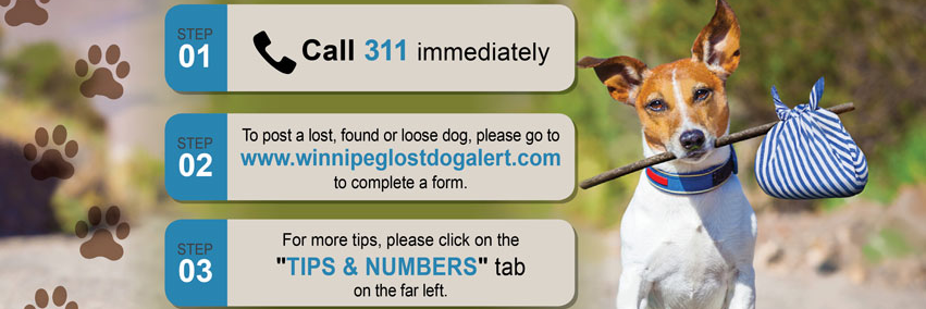 WpgLostDogAlert's profile banner image