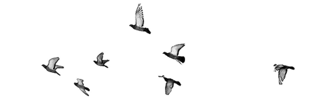 arvindpatel113's profile banner image