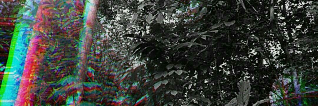 yuan_endra's profile banner image