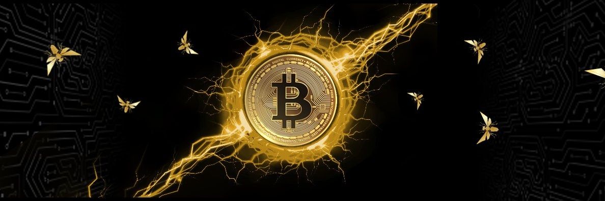 ZeHodler's profile banner image