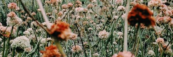 KrystalReports's profile banner image