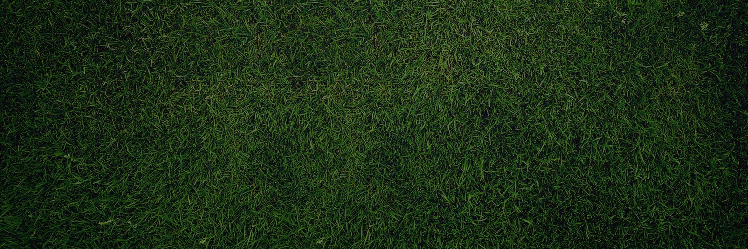 ellyzainal's profile banner image