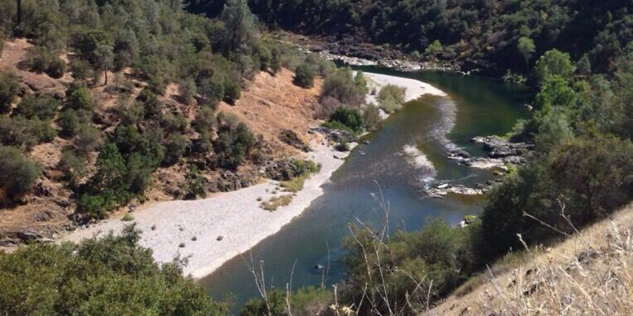 allison hernandez banner