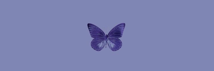 itsmorganread's profile banner image