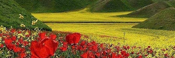 tfugate_rms Profile Banner