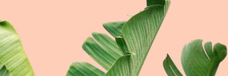lizsmarttt's profile banner image