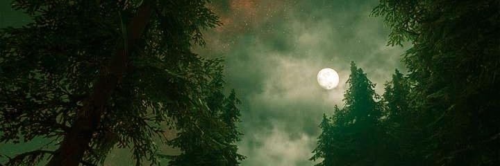 AshwaniKumar105's profile banner image