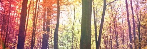 ezimmerman17's profile banner image
