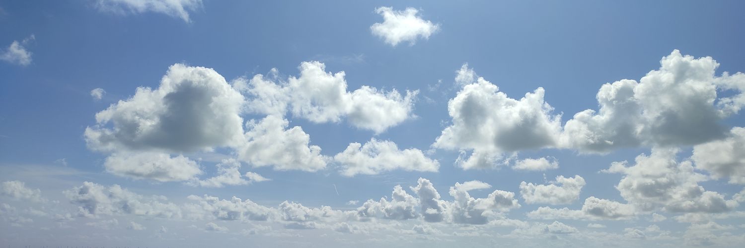animuula's profile banner image