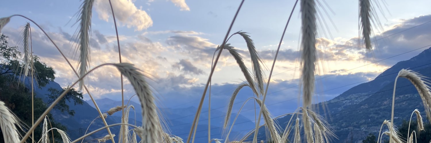 Natischer banner
