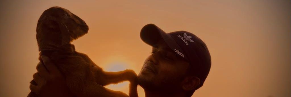 smorya860's profile banner image