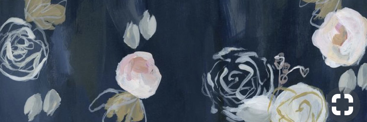 MsCaseyTaylor's profile banner image