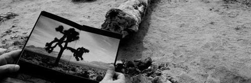 altamura_vale's profile banner image