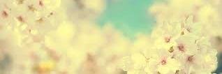 DygusalK's profile banner image