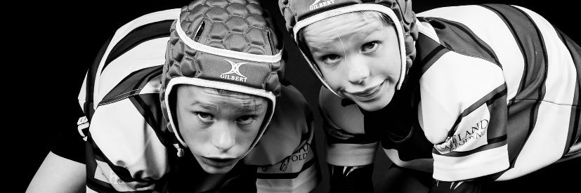 Louise Warren banner