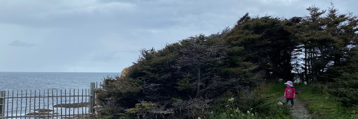 Maggie Burton banner