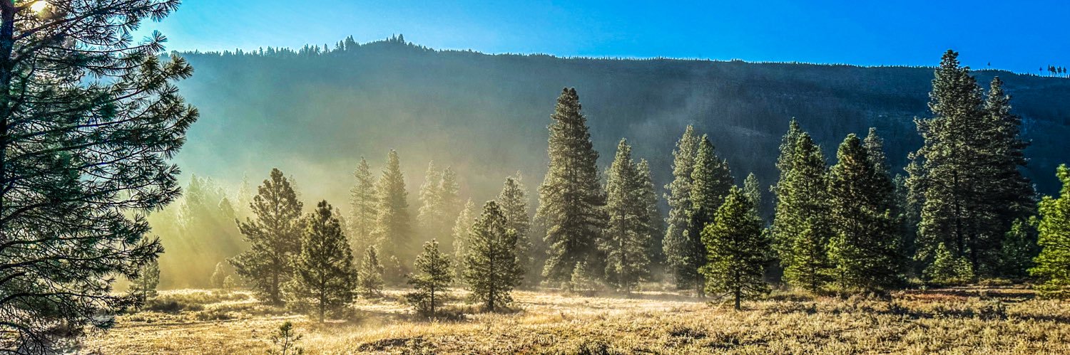 Joseph Fiesel banner