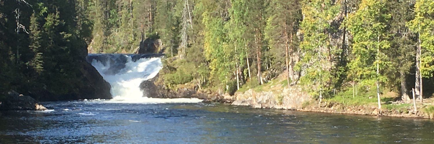 Kati Liukko banner