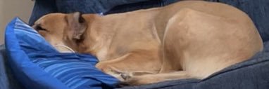 Mtz_Libby's profile banner image