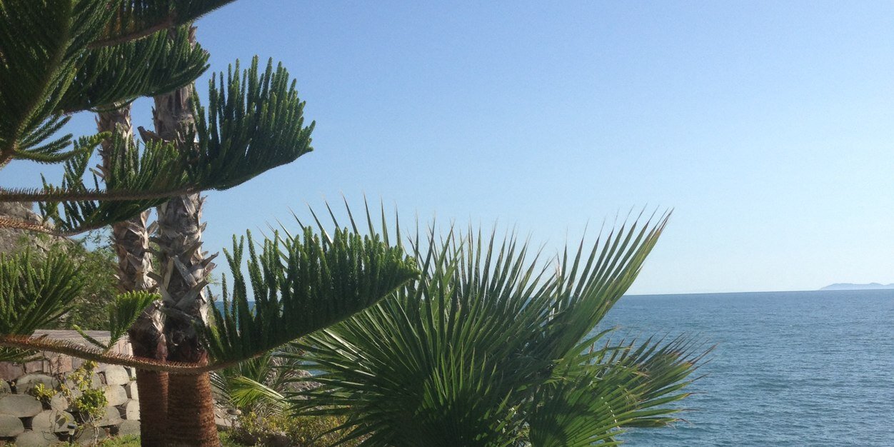 lulyslz's profile banner image