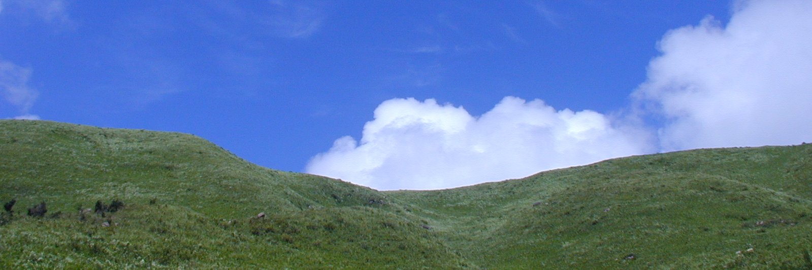 MB68B09's profile banner image