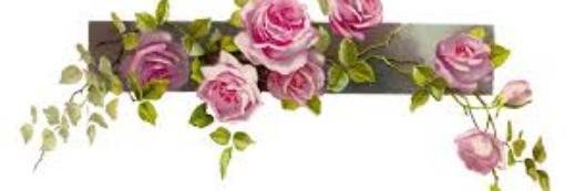 Bbeer_Bberry's profile banner image