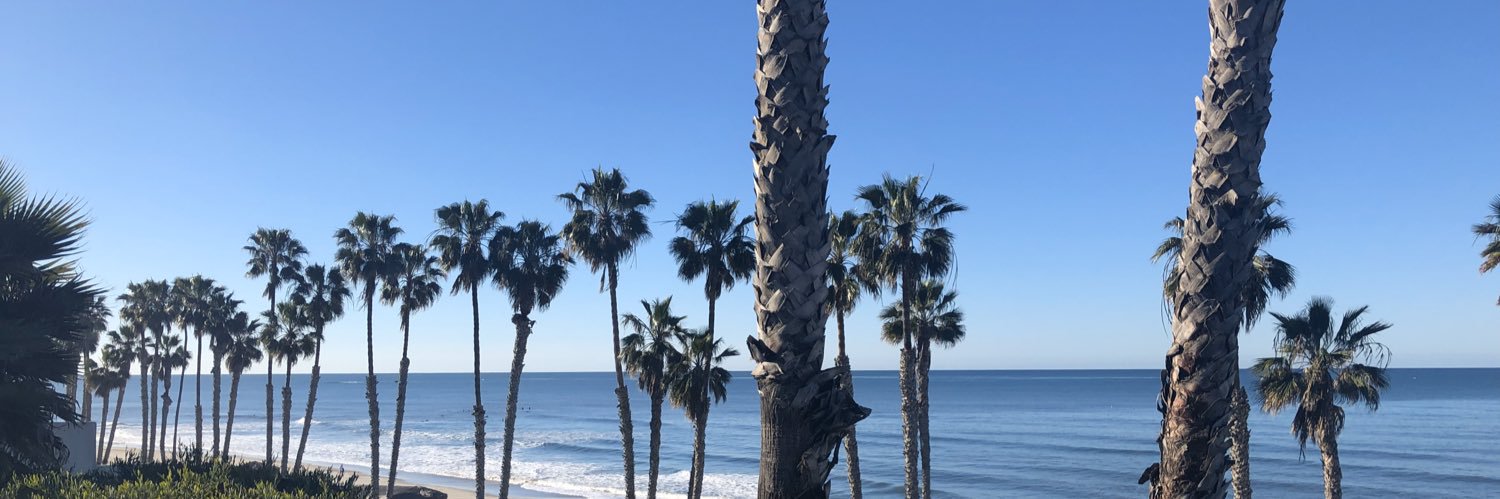 Christopher Lewis banner