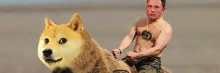 Fegotoshi Dogemoto ⚡️Marvel Owl⚡L F G!! banner