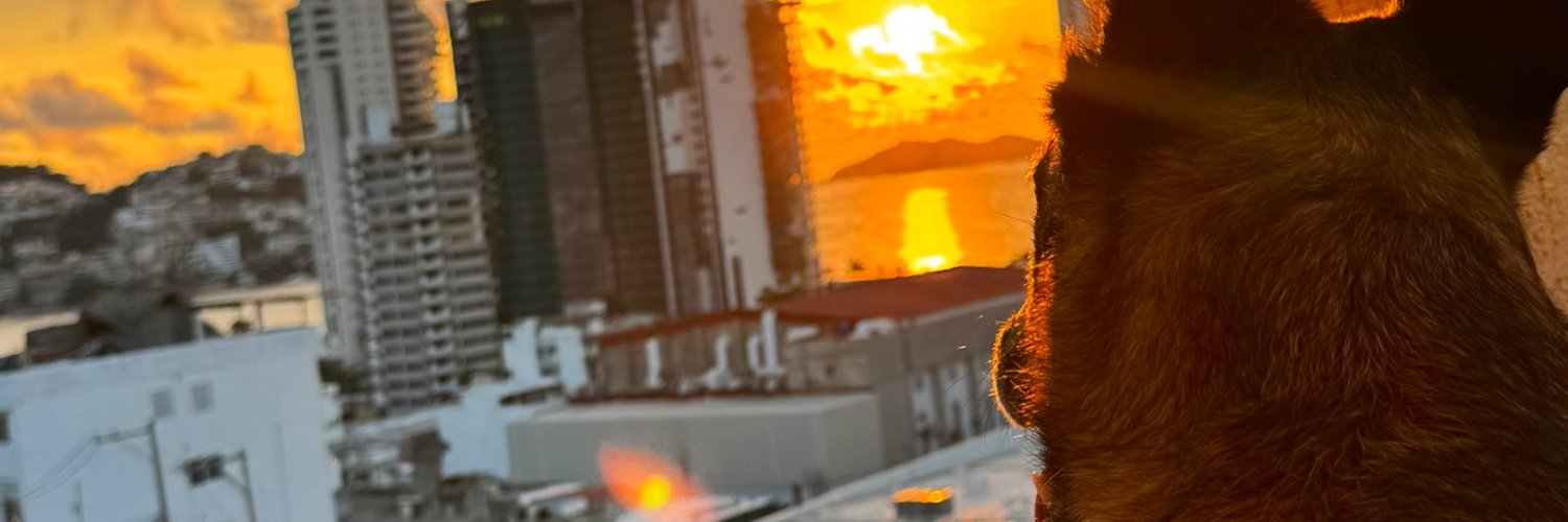 Gil Corazón de Perro 🐕 🤎 banner