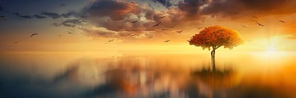 TriConscious's profile banner image