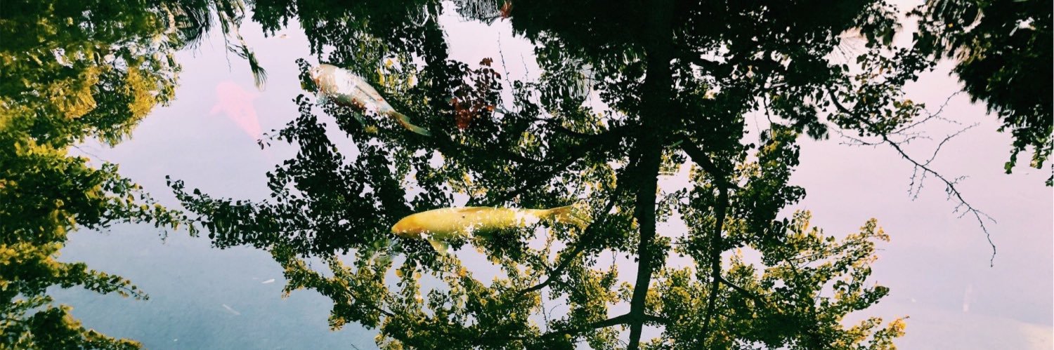 marallidln's profile banner image