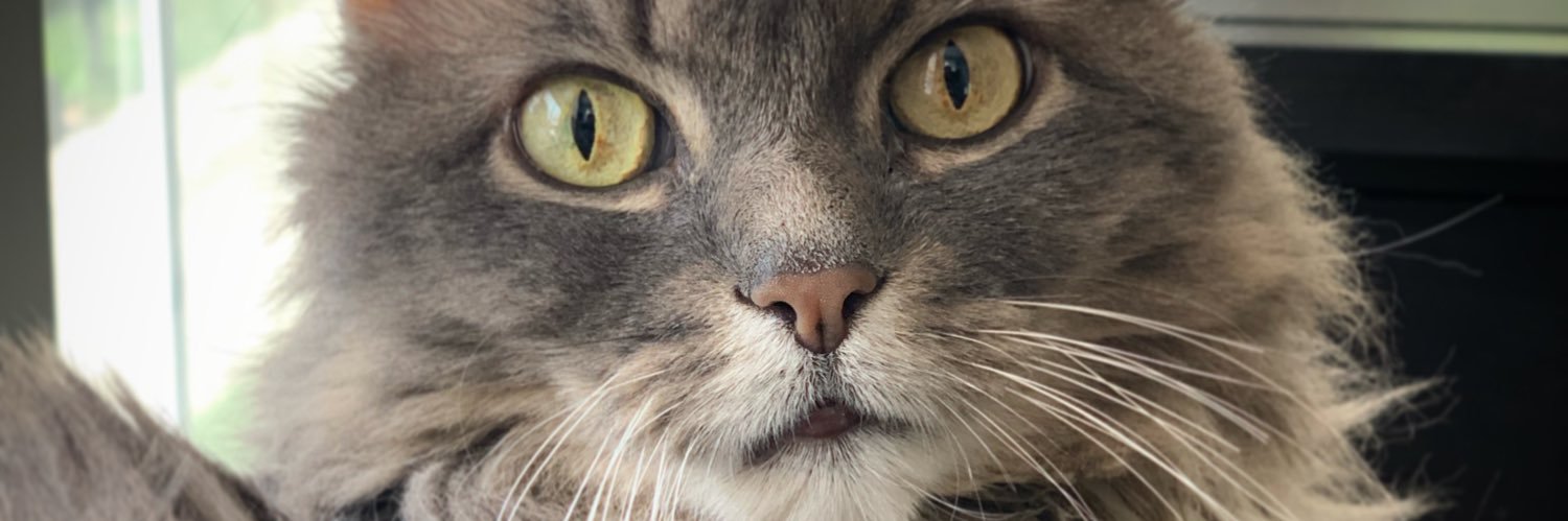 newlarry's profile banner image