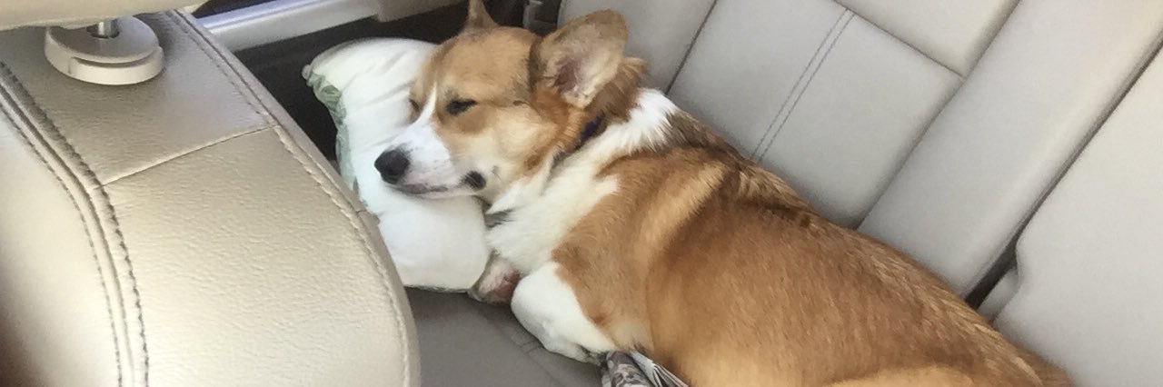 LilBitAP84's profile banner image