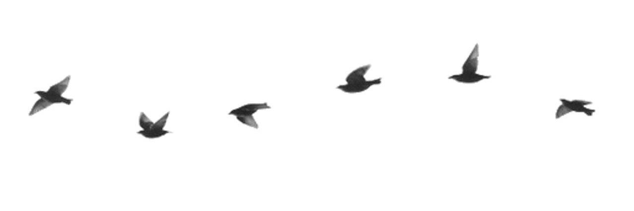 y_ms_78's profile banner image