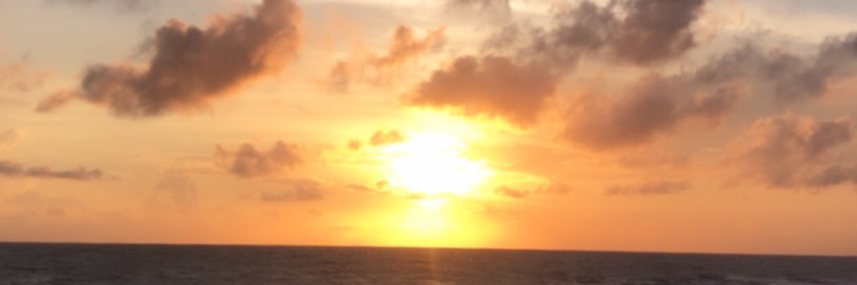 laraspurnamaa's profile banner image