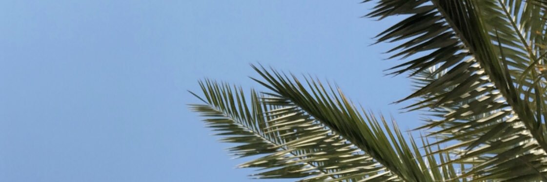 Ophe_li's profile banner image