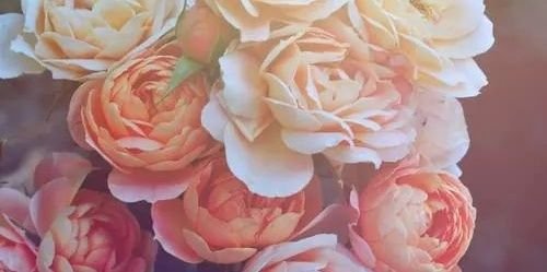 esmaeRPG_LB's profile banner image