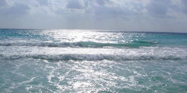 ramivicra's profile banner image