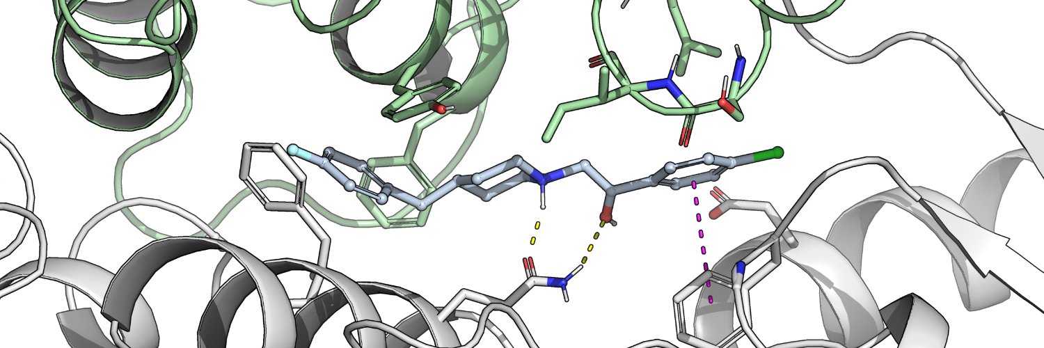 Thibaud Freyd banner