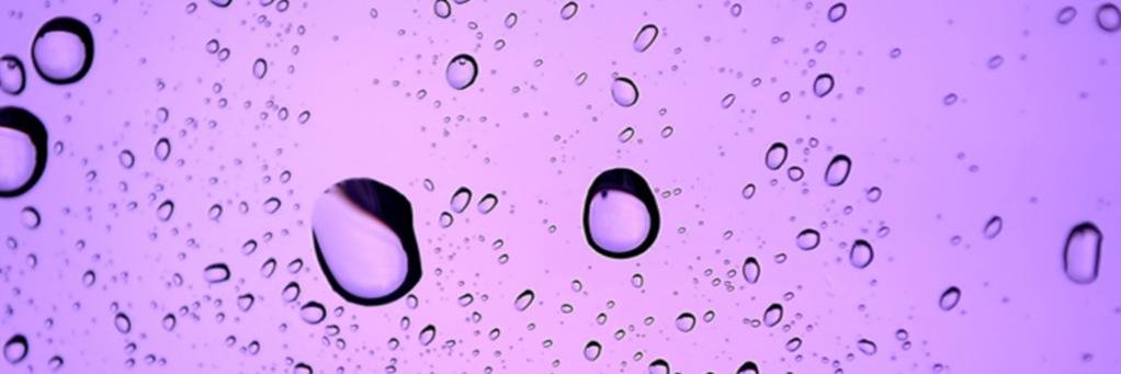 Mark Wood 💚 Socialist banner