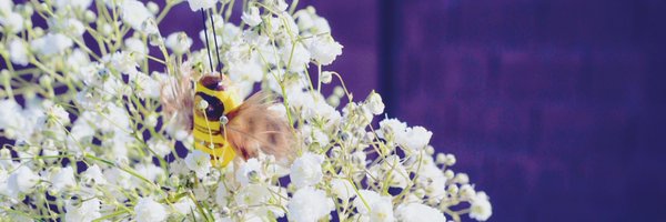 hello_dominoe Profile Banner