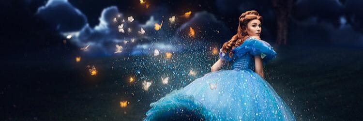 anniefischinger's profile banner image