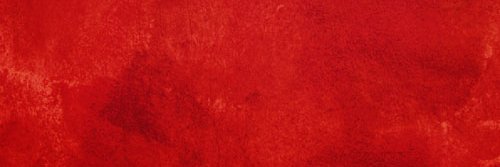 657f507ceedc43a's profile banner image
