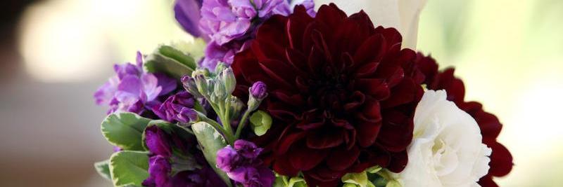 FlowerFactoryLA's profile banner image