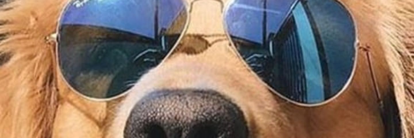 Sperto's profile banner image